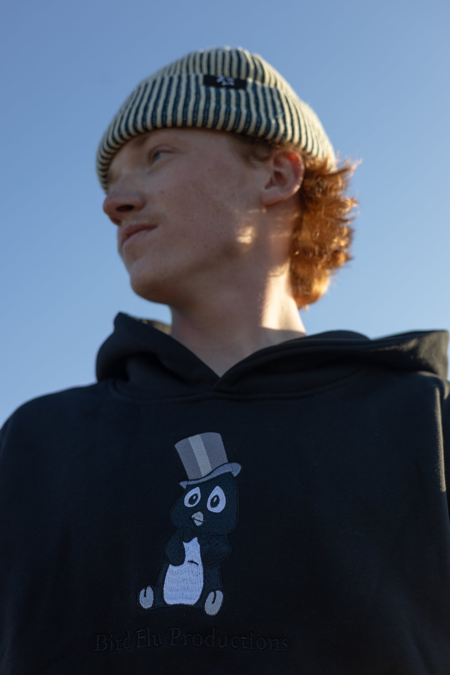 Birdflu comfort hoodie