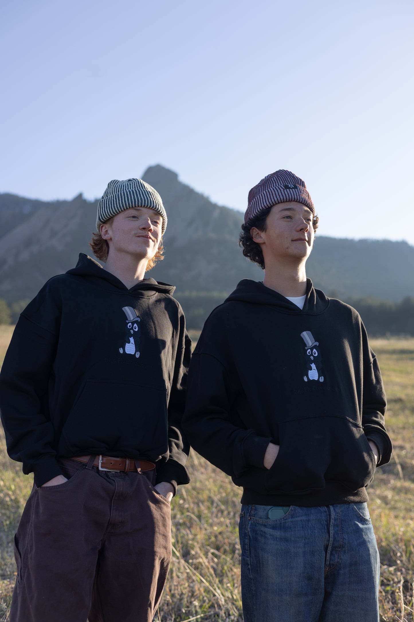 Birdflu comfort hoodie