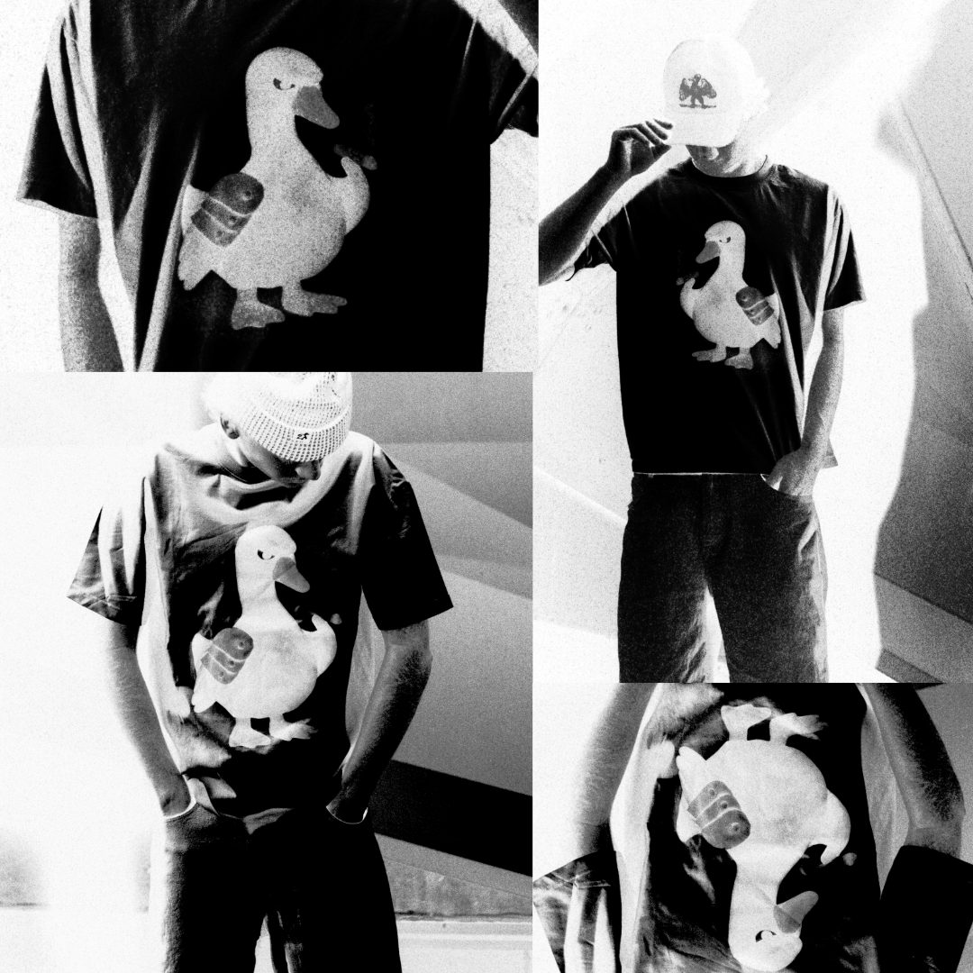 Birds of Prey T-shirt (Black swan)